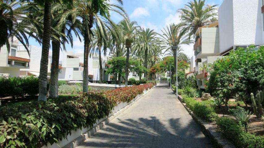 South Tenerife 471 Costa del Silencio Exterior foto